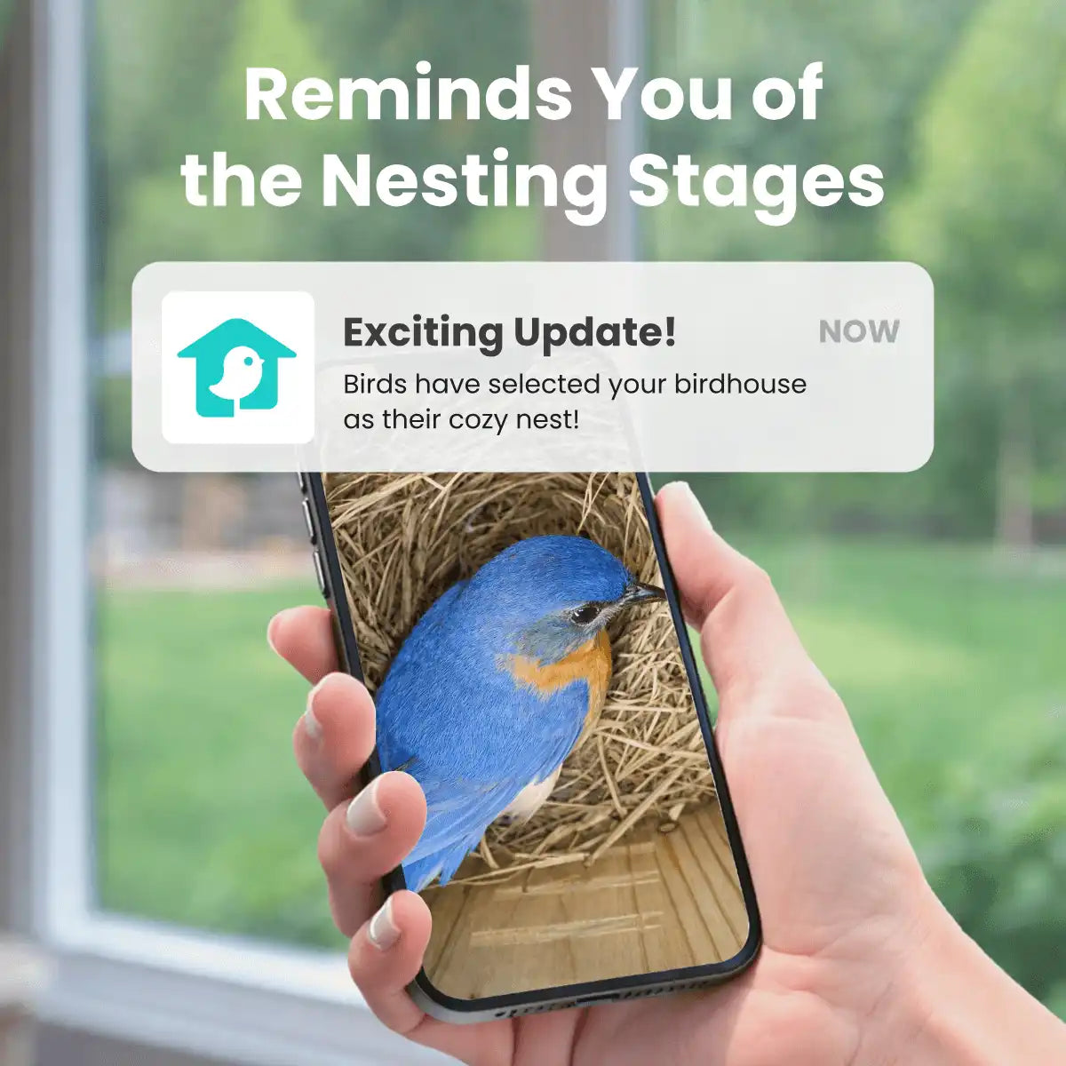Birdfy Nest Duo - Smart Bird House with Dual Cameras
