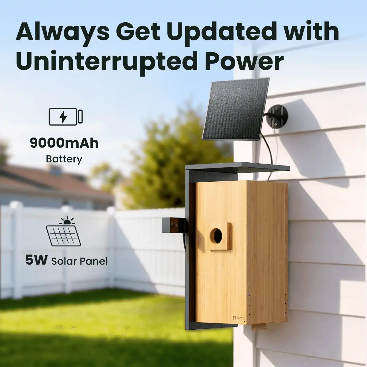 Birdfy Nest Duo - Smart Bird House with Dual Cameras