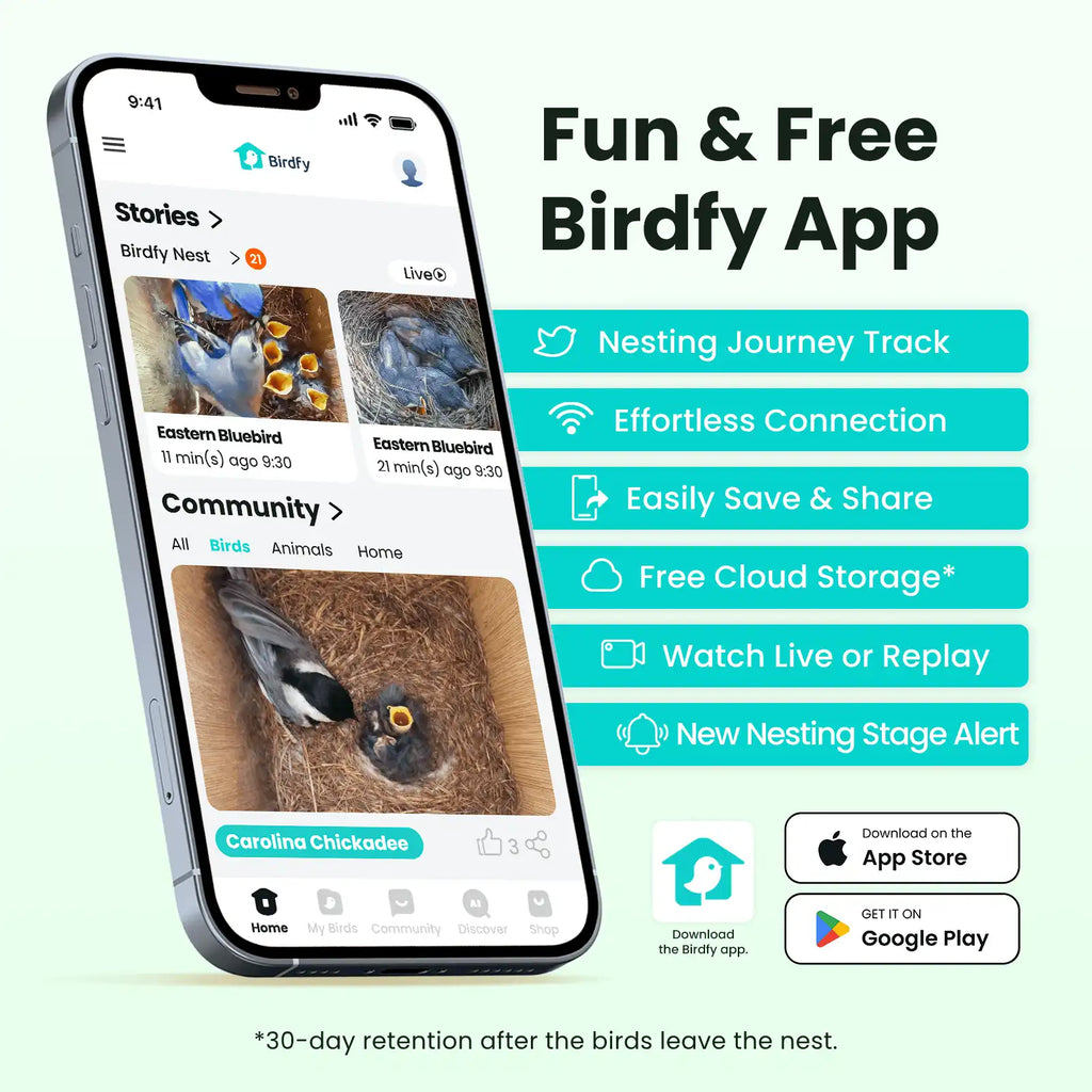 Birdfy Nest - Wooden Smart Birdhouse with Camera