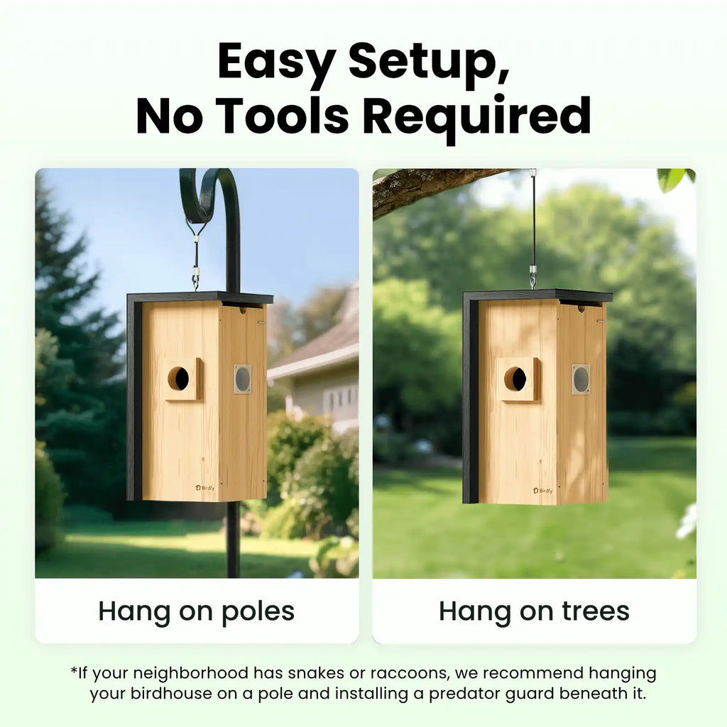 Birdfy Nest - Wooden Smart Birdhouse with Camera