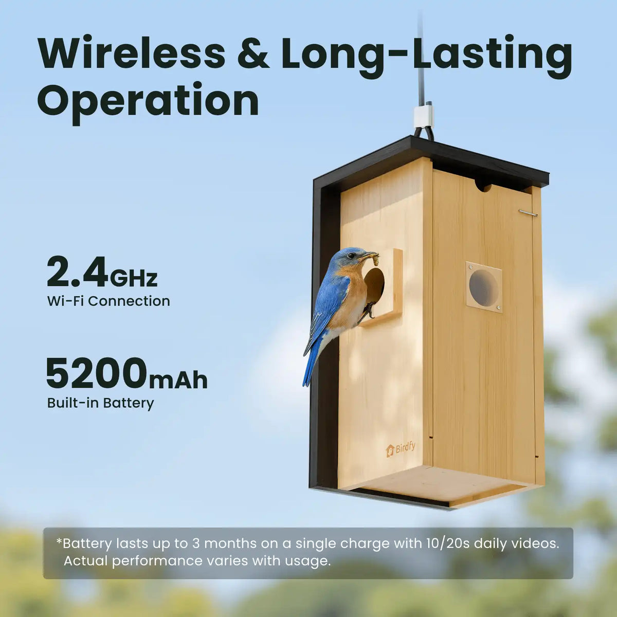Birdfy Nest - Wooden Smart Birdhouse with Camera