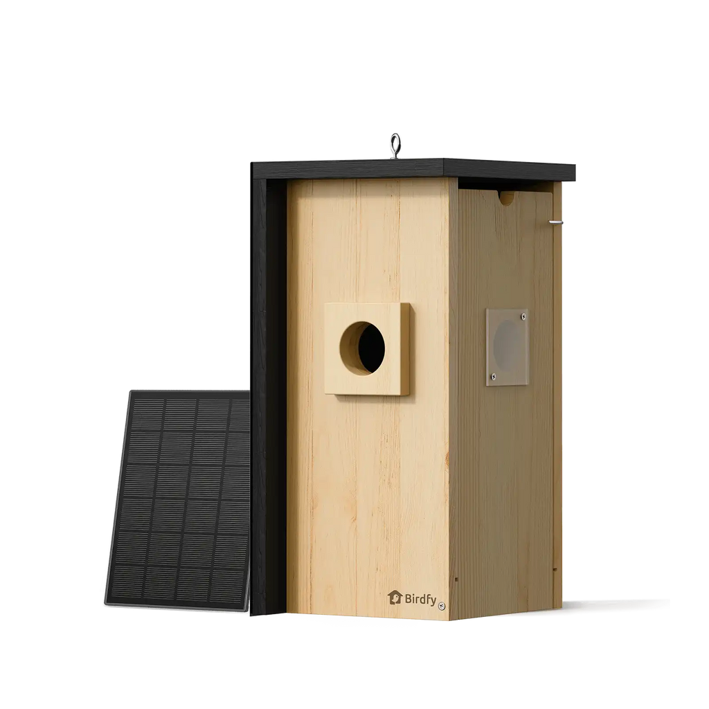 Birdfy Nest - Wooden Smart Birdhouse with Camera