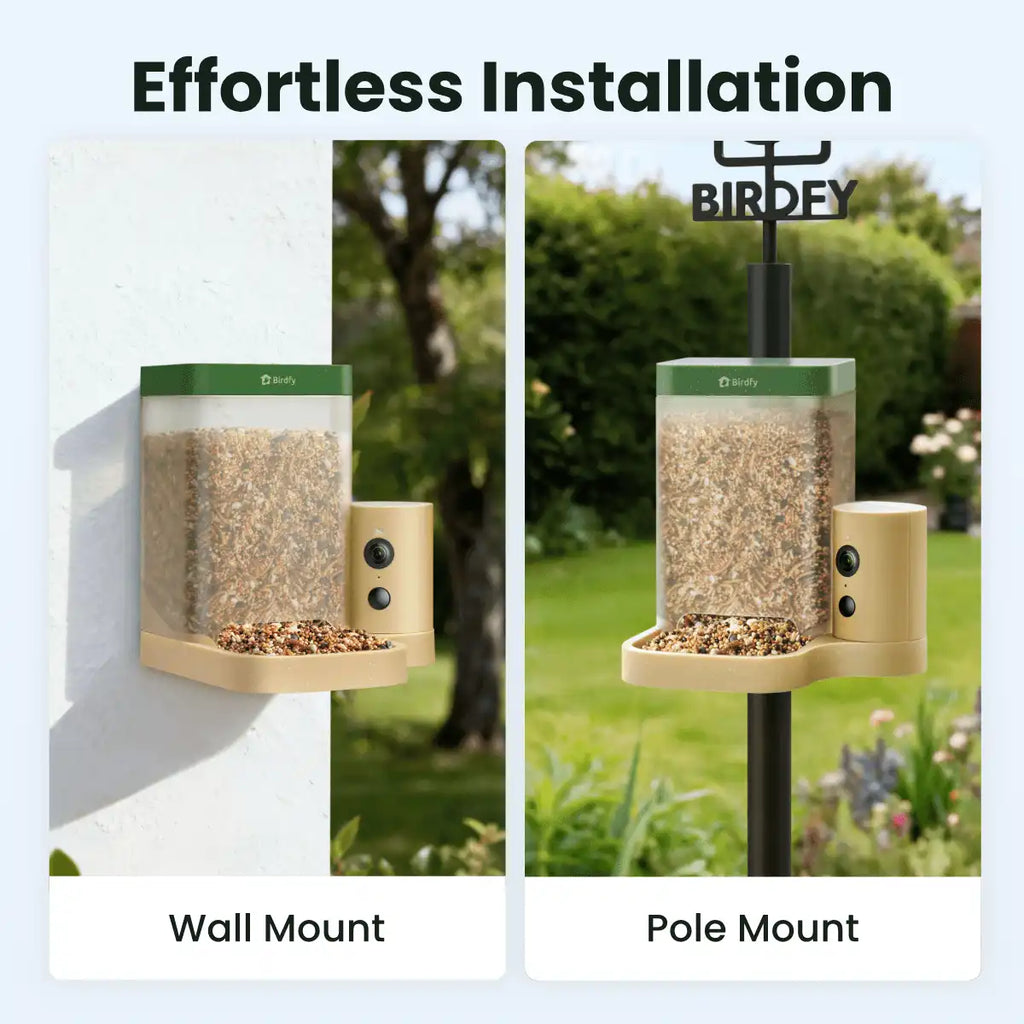 Birdfy Feeder Rookie + 1 Year Plus Membership
