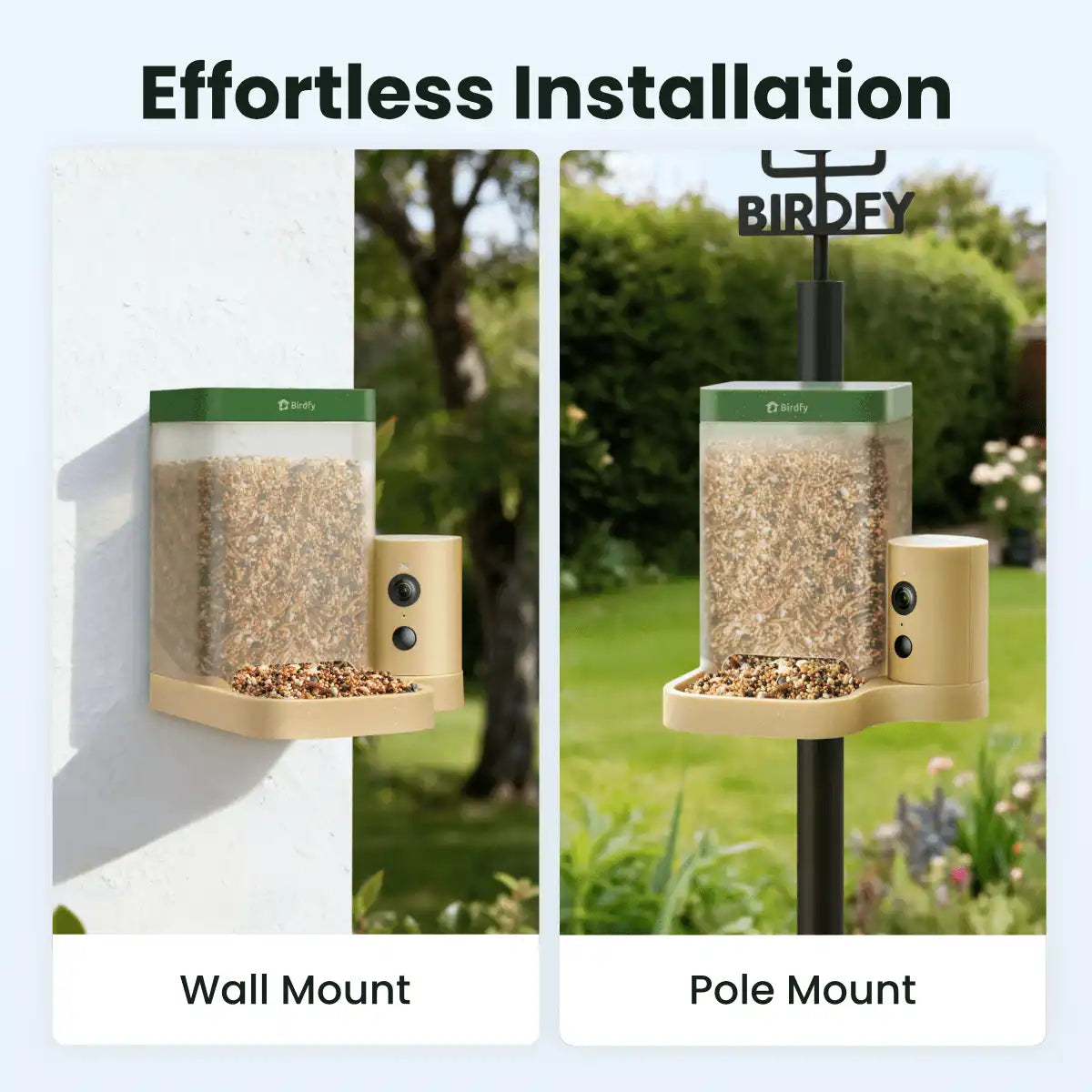 Birdfy Feeder Rookie + 1 Year Plus Membership