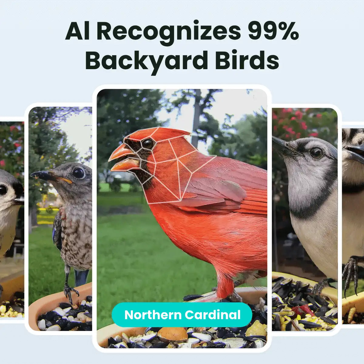Birdfy Feeder Rookie - Beginner-Friendly Smart Bird Feeder Green