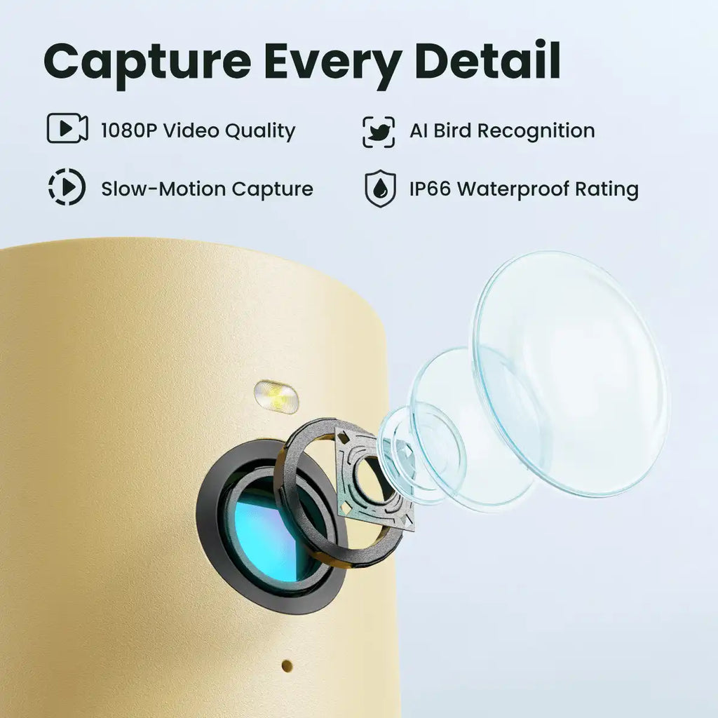 Birdfy Feeder Rookie + 1 Year Plus Membership