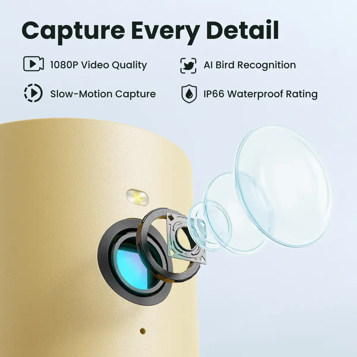 Birdfy Feeder Rookie + 1 Year Plus Membership