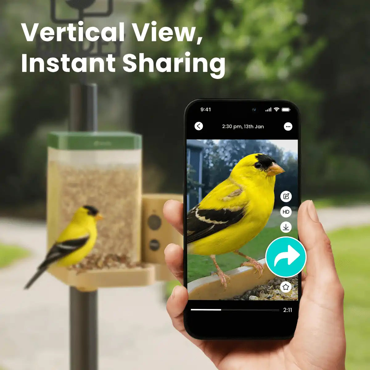 Birdfy Feeder Rookie + 1 Year Plus Membership