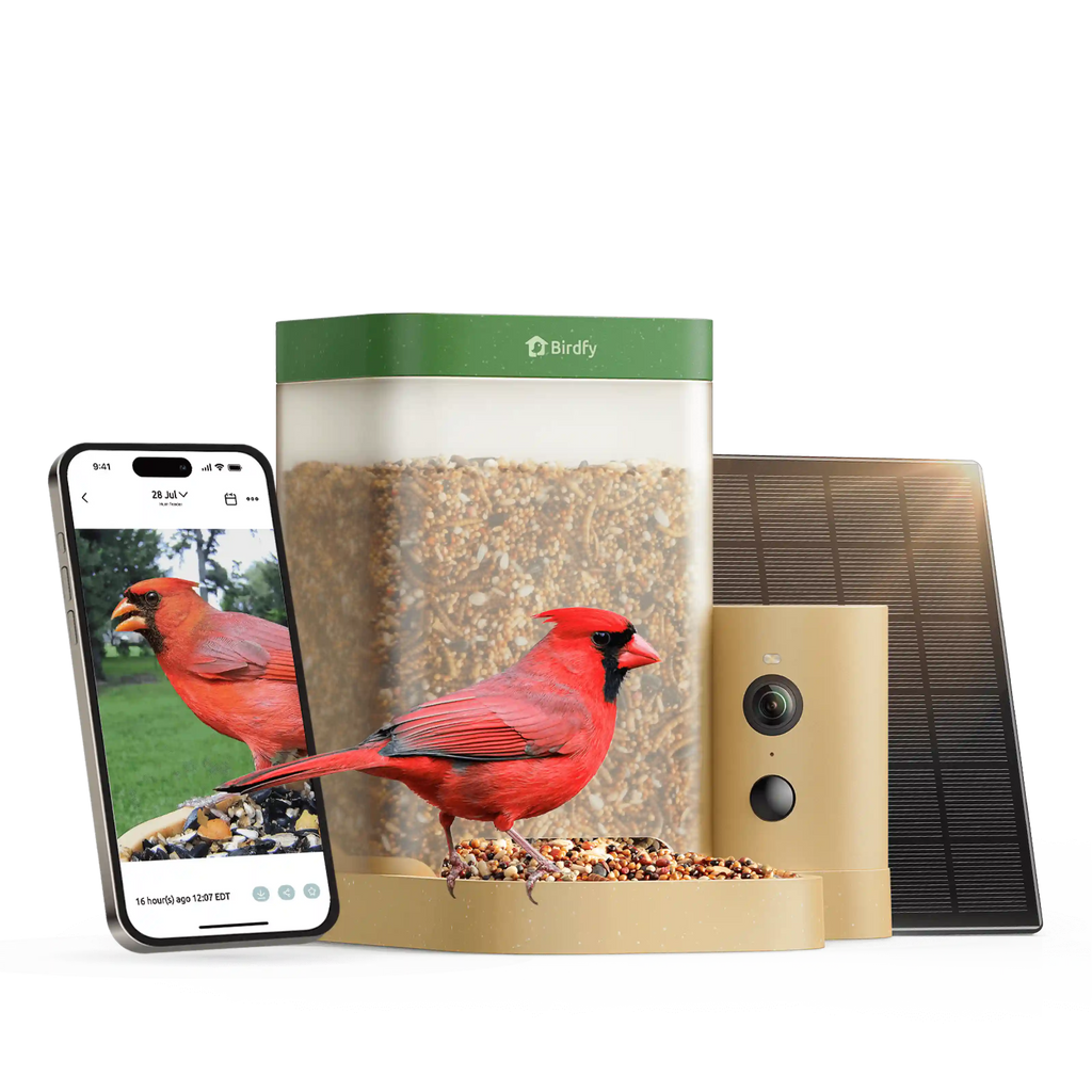 Birdfy Feeder Rookie - Beginner-Friendly Smart Bird Feeder Green