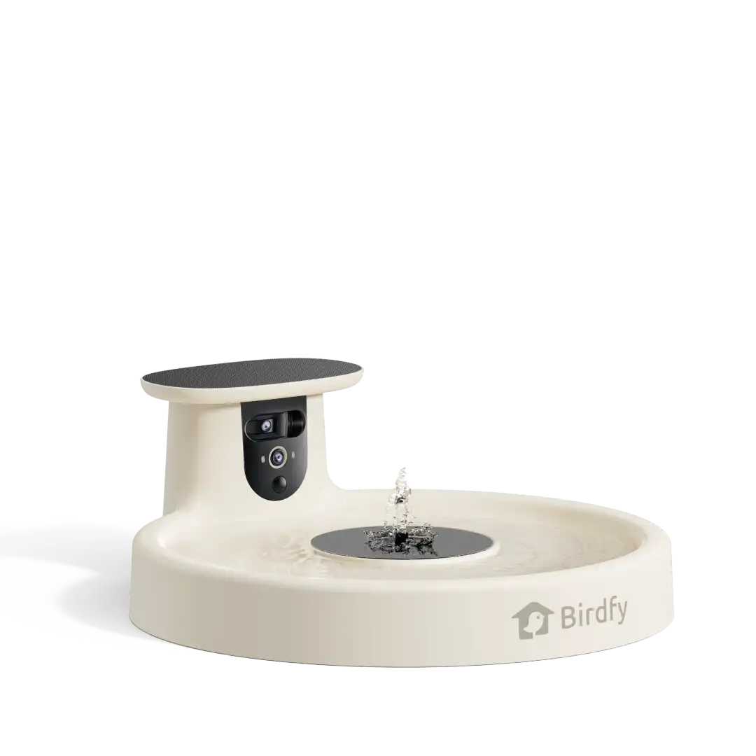 Birdfy Bath Pro - Solar-Powered Smart Birdbath with Fountain without stand