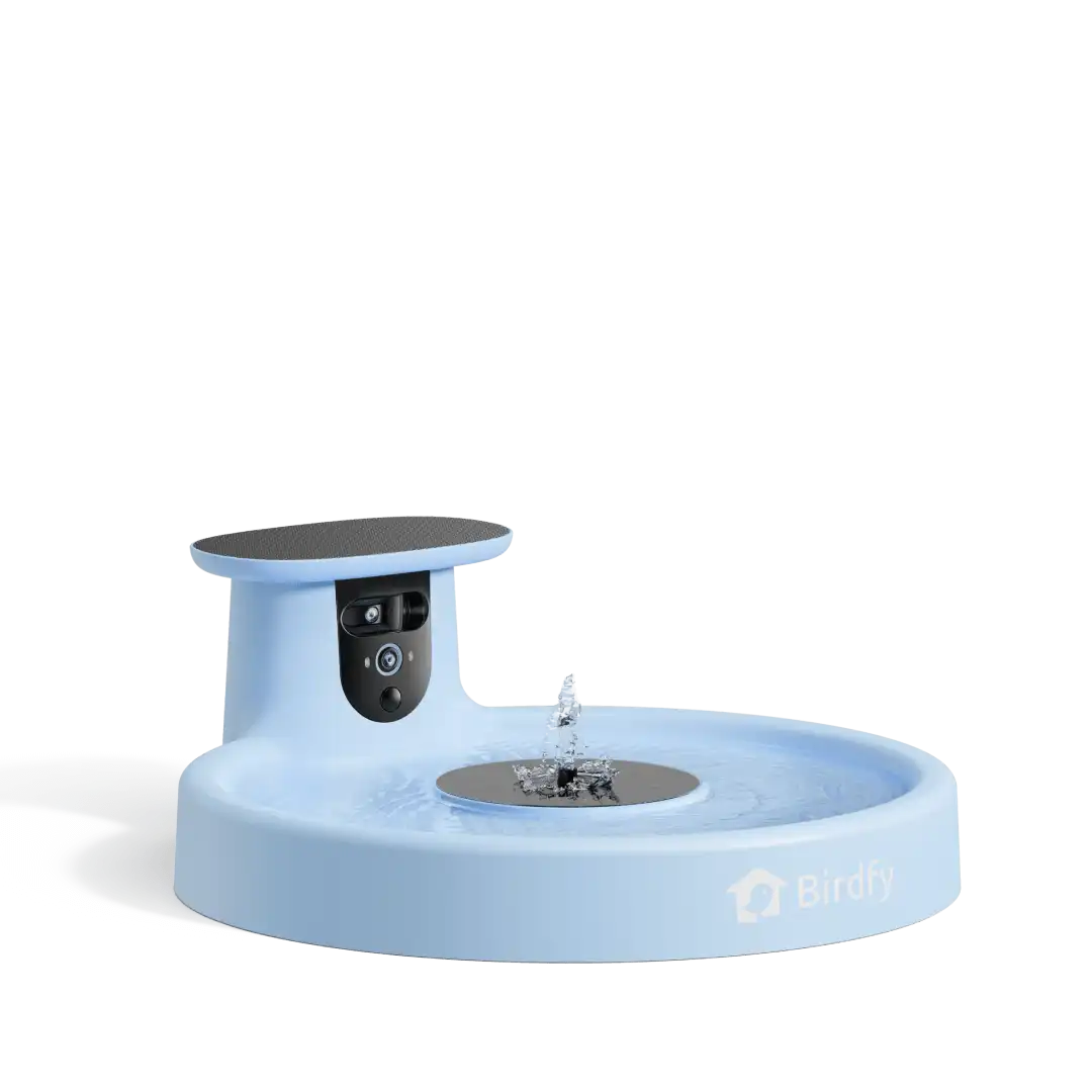 Birdfy Bath Pro - Solar-Powered Smart Birdbath with Fountain without stand