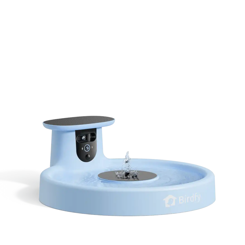 Birdfy Bath Pro White - Solar-Powered Smart Birdbath with Fountain without stand