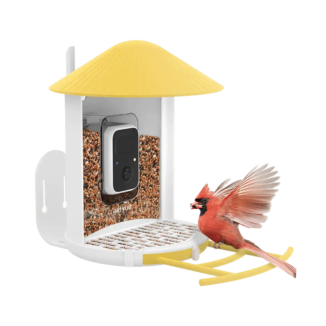 Birdfy Bird Seed Guard