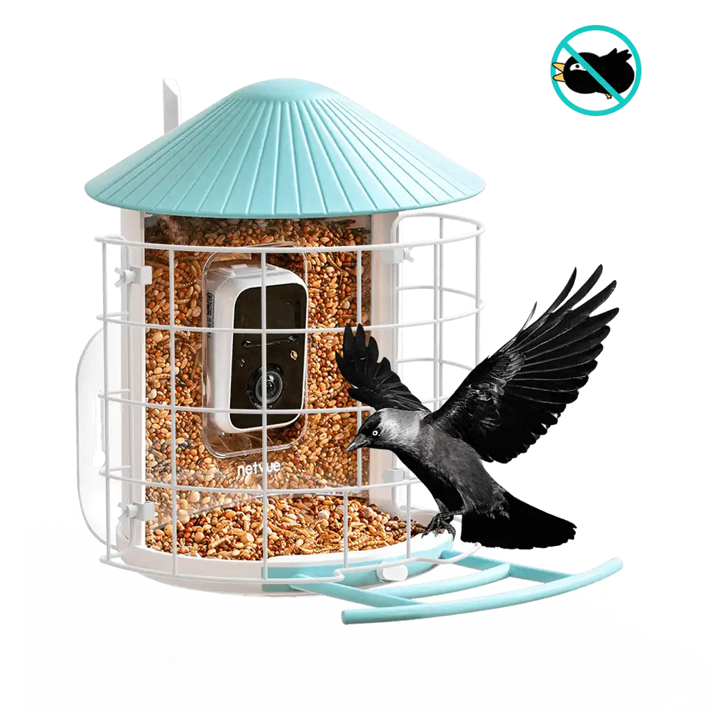 Birdfy Shield - Bird Feeder Shield
