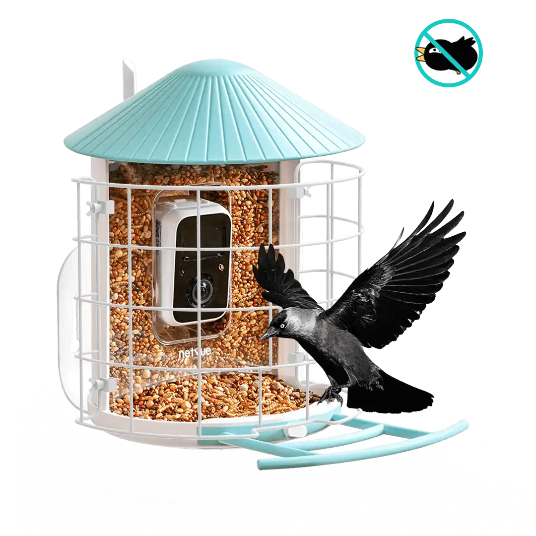 Birdfy Shield - Bird Feeder Shield