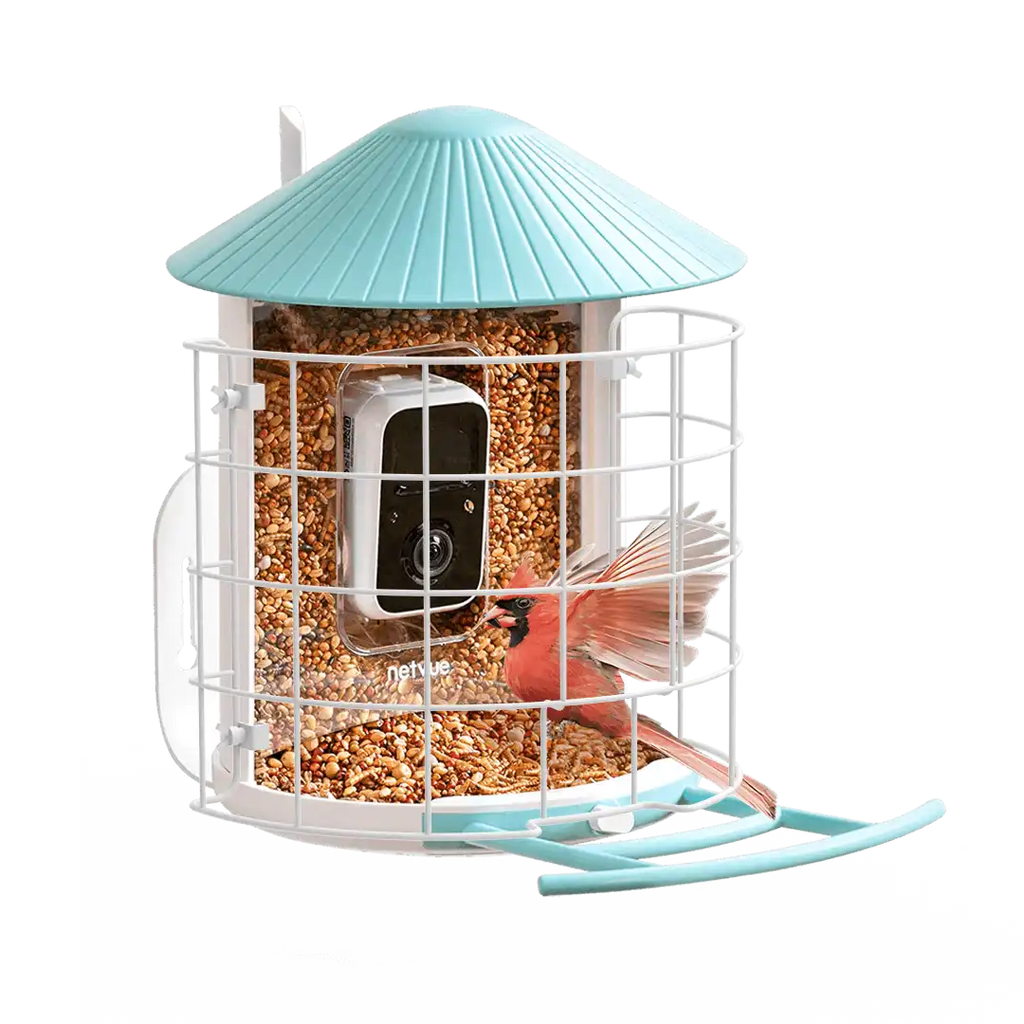 Birdfy Shield - Bird Feeder Shield