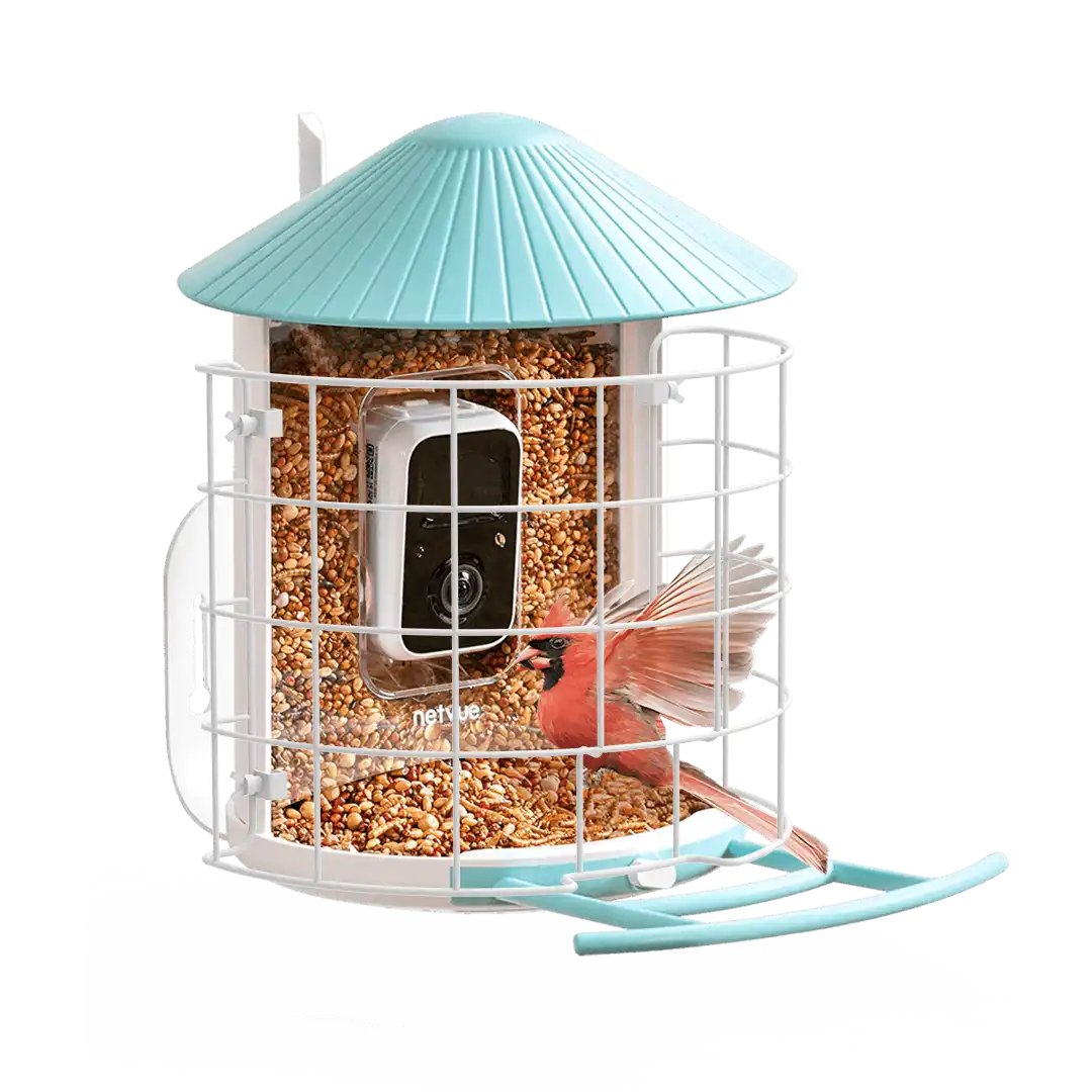 Birdfy Shield - Bird Feeder Shield