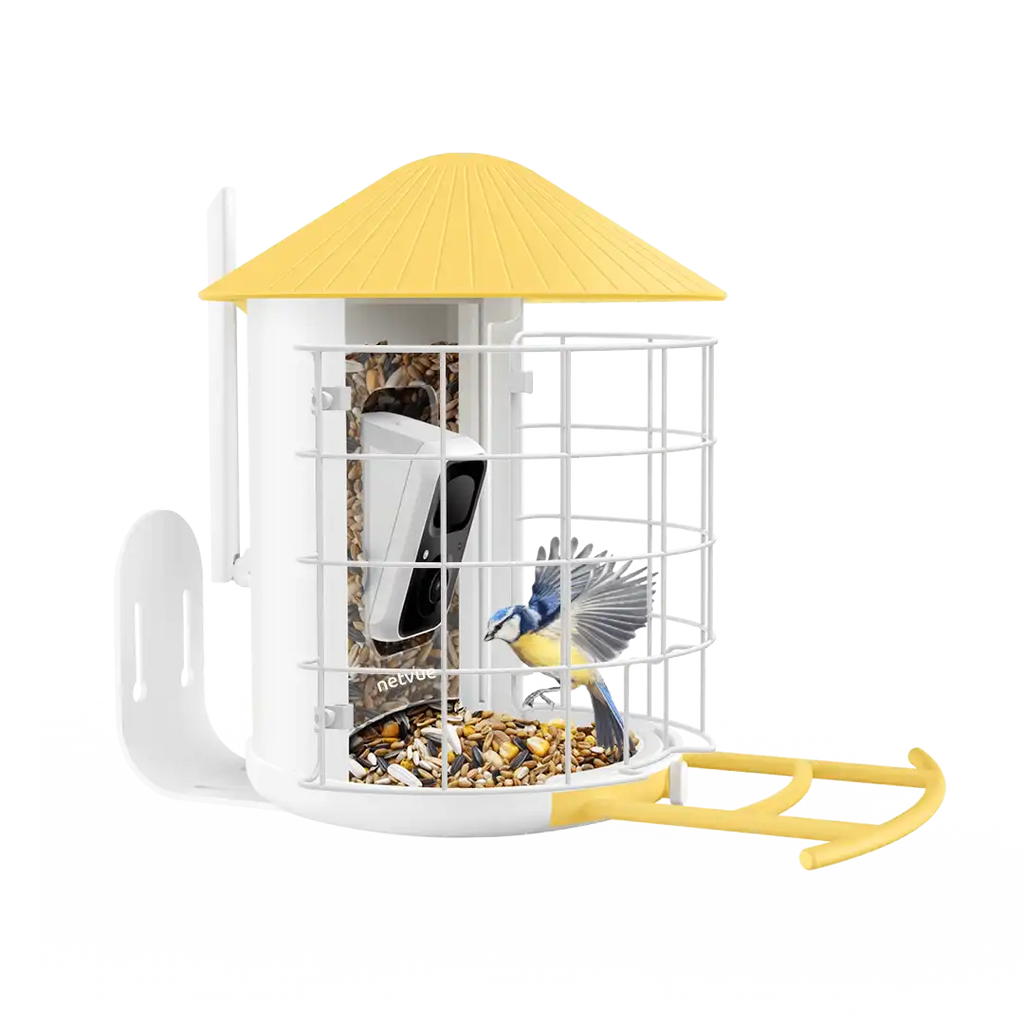 Birdfy Shield - Bird Feeder Shield