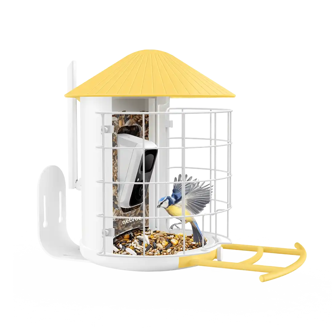 Birdfy Shield - Bird Feeder Shield