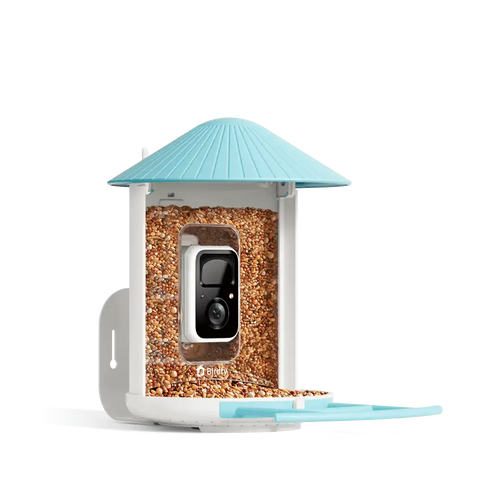 Birdfy Feeder - AI-Powered Smart Bird Feeder with Camera