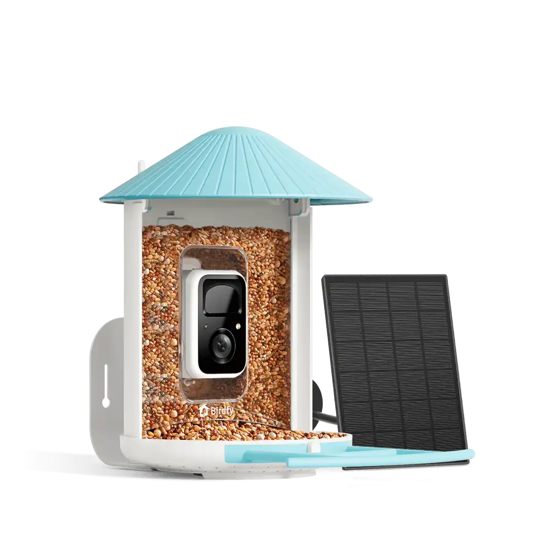 Birdfy Feeder with Solar Panel - Solar-Powered Smart Bird Feeder with Camera