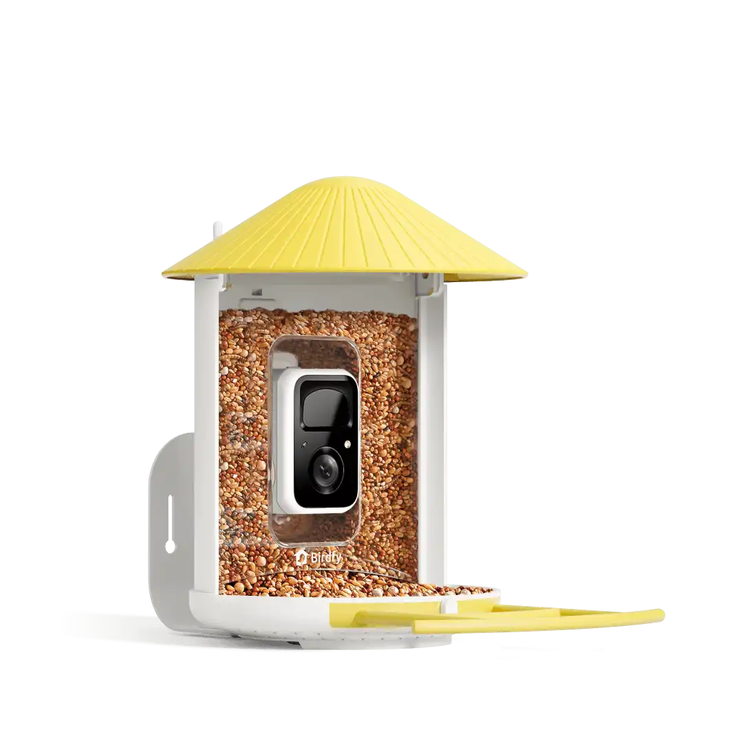 Birdfy Feeder - AI-Powered Smart Bird Feeder with Camera-Yellow