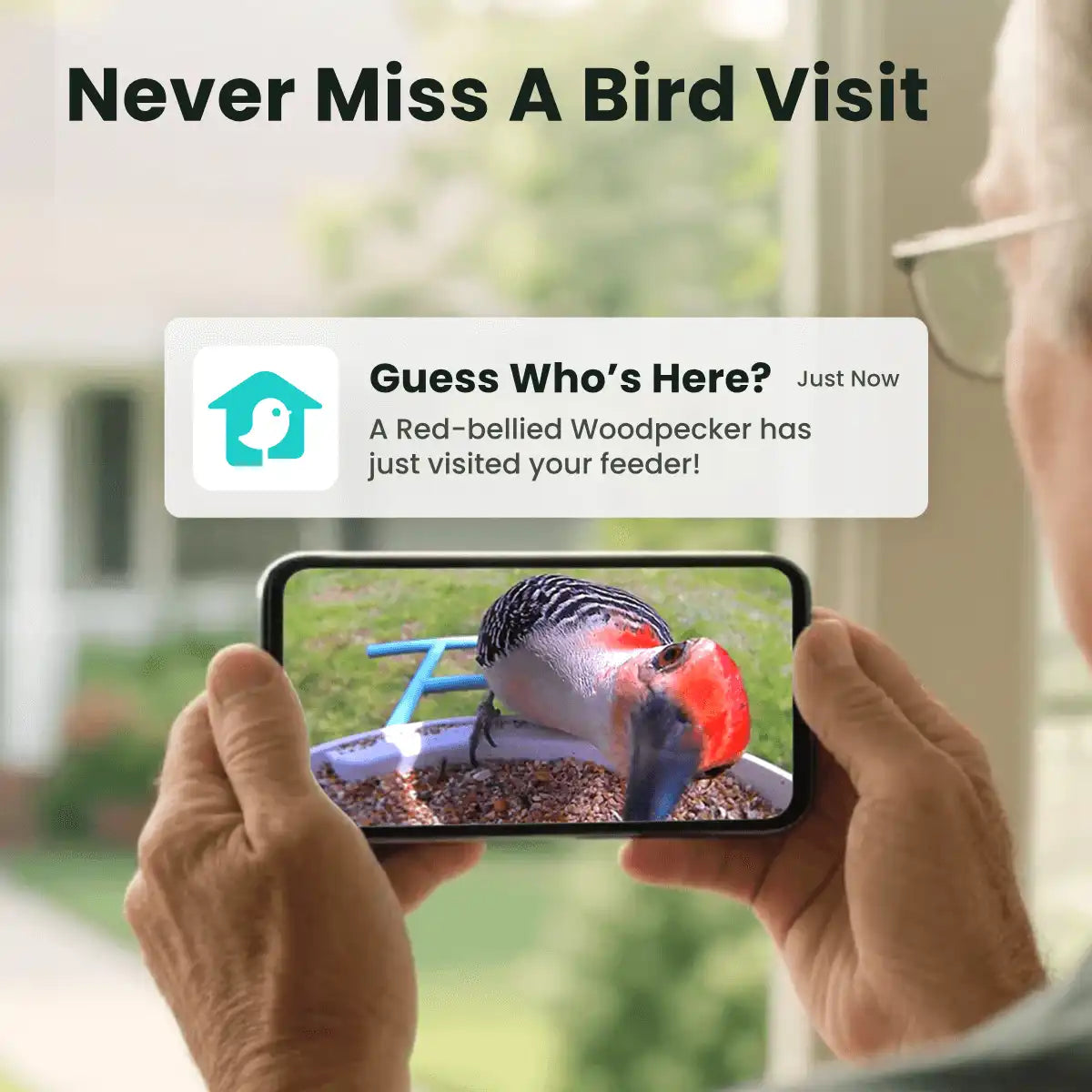 Birdfy Feeder - Limited Gift Set | Smart Bird Feeder with Camera