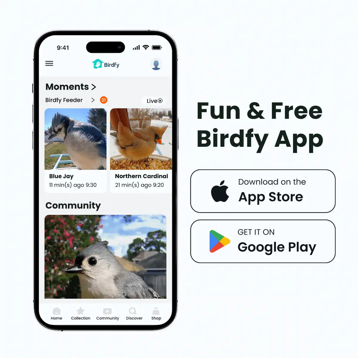 Birdfy Feeder - AI-Powered Smart Bird Feeder with Camera-Yellow