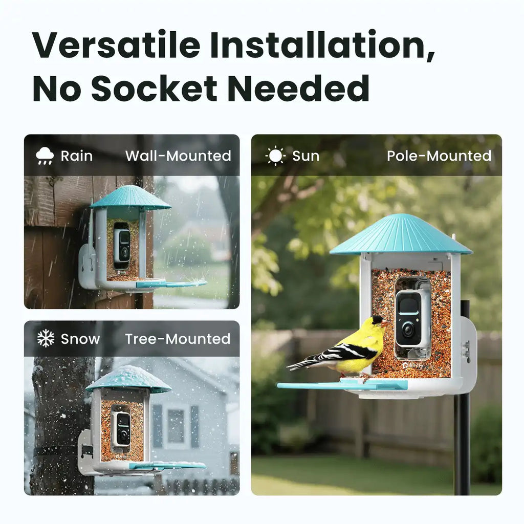 Birdfy Feeder - Smart Bird Feeder with Camera Standard Kit