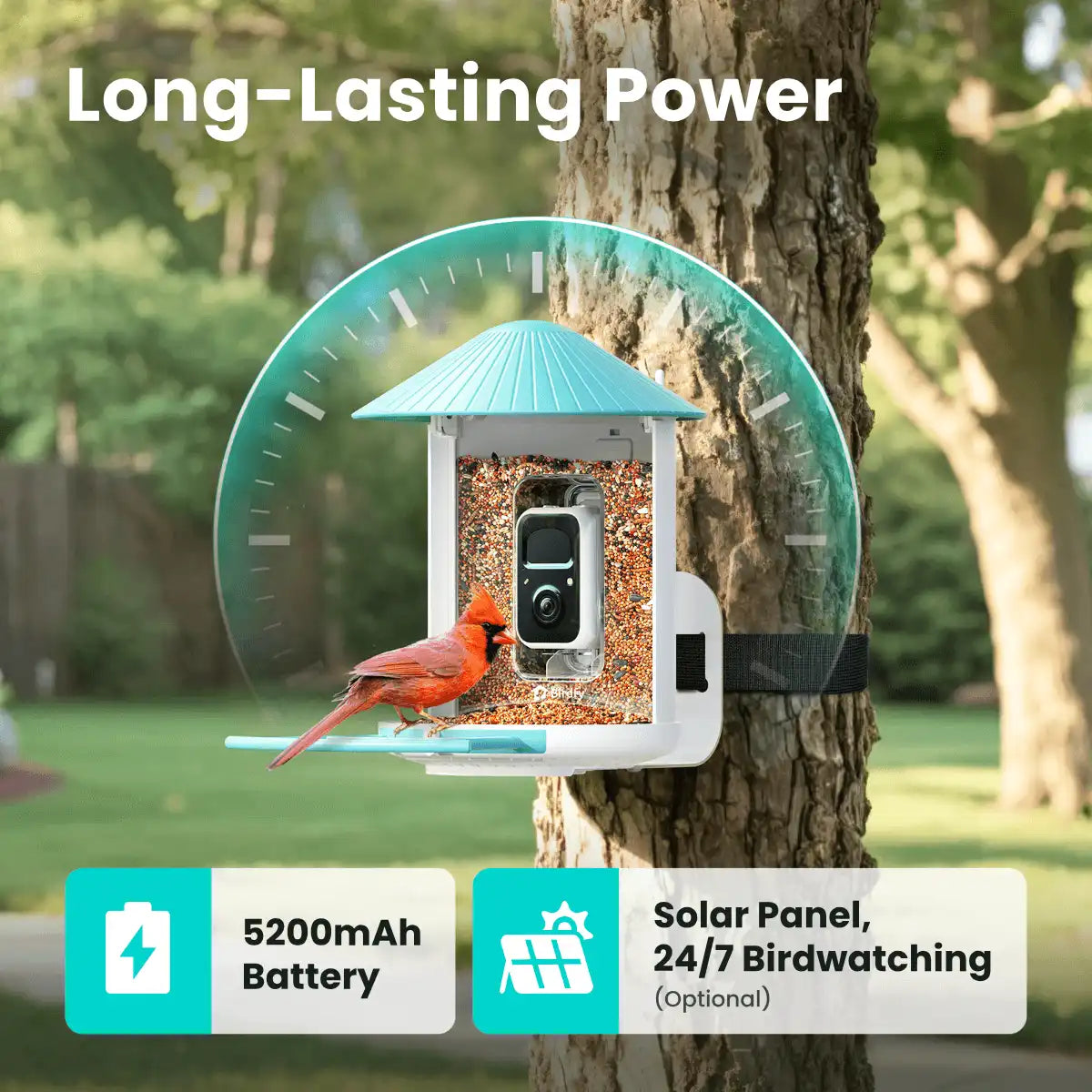 Birdfy Feeder - Smart Bird Feeder with Camera Standard Kit