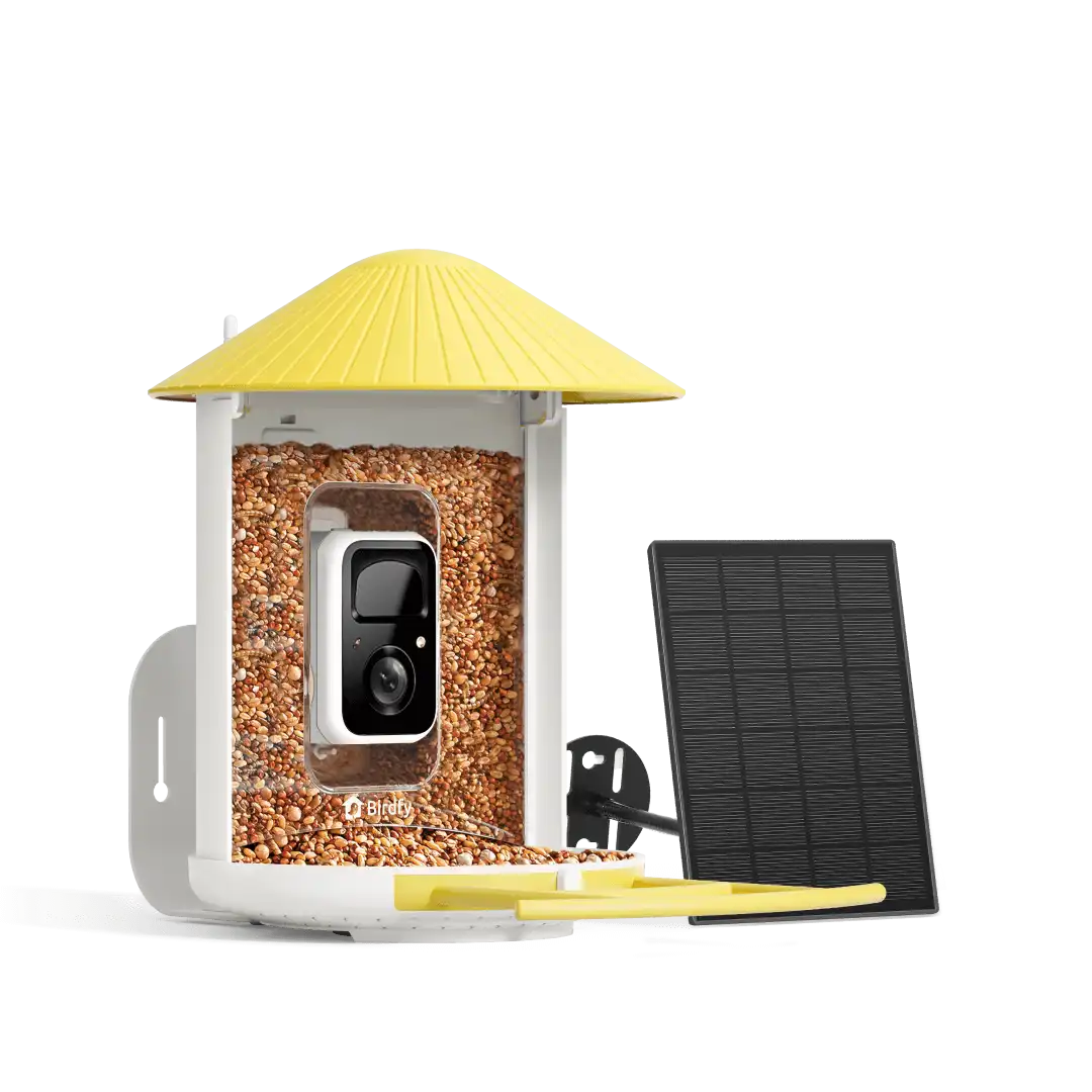 Birdfy Feeder - AI-Powered Smart Bird Feeder with Camera-Yellow