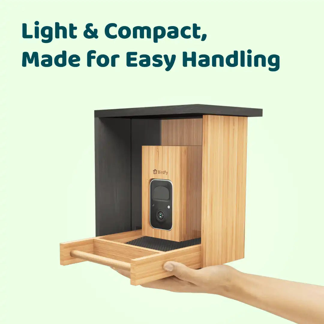 Birdfy Feeder Bamboo Mini + 1 Year Plus Membership