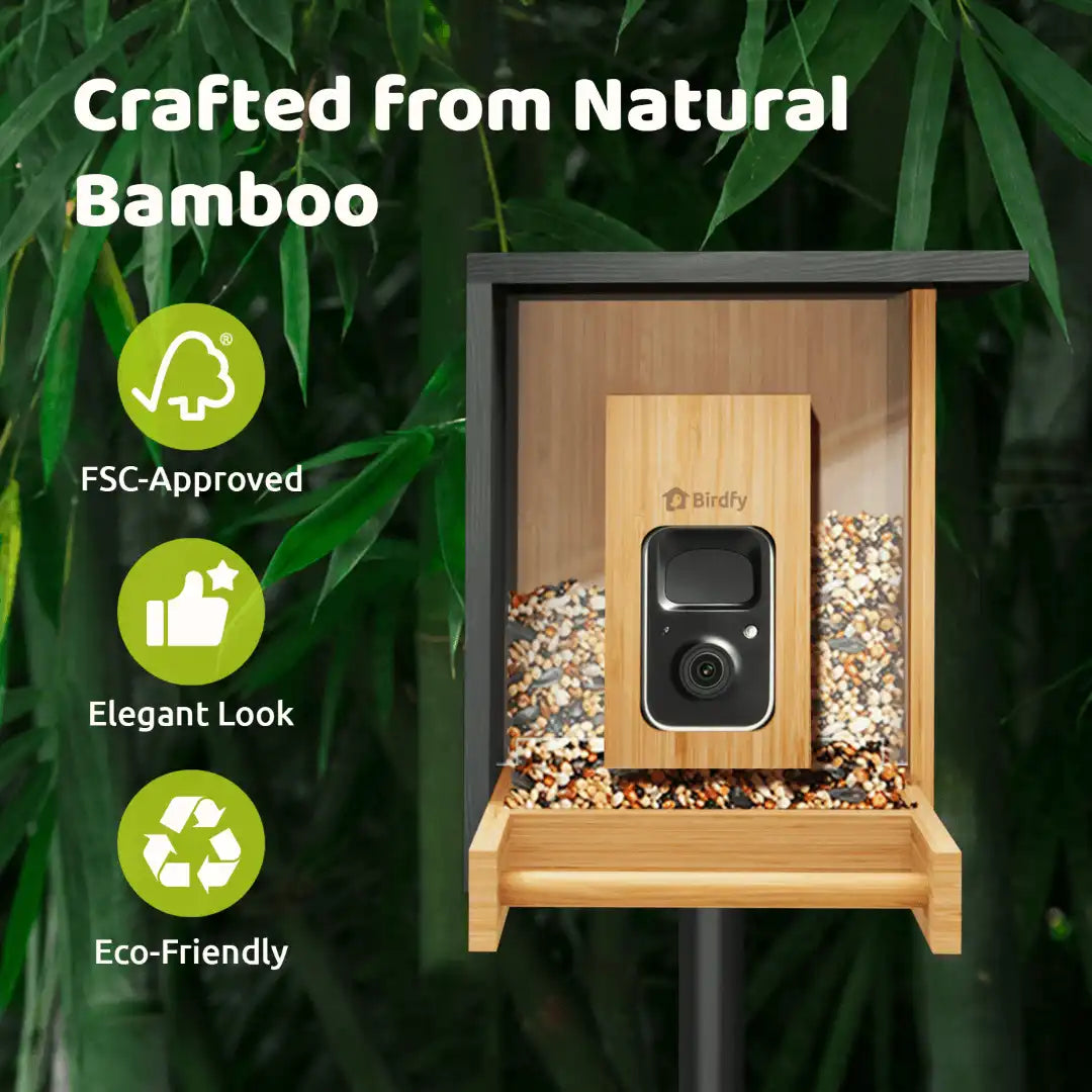 Birdfy Feeder Bamboo Mini + 1 Year Plus Membership