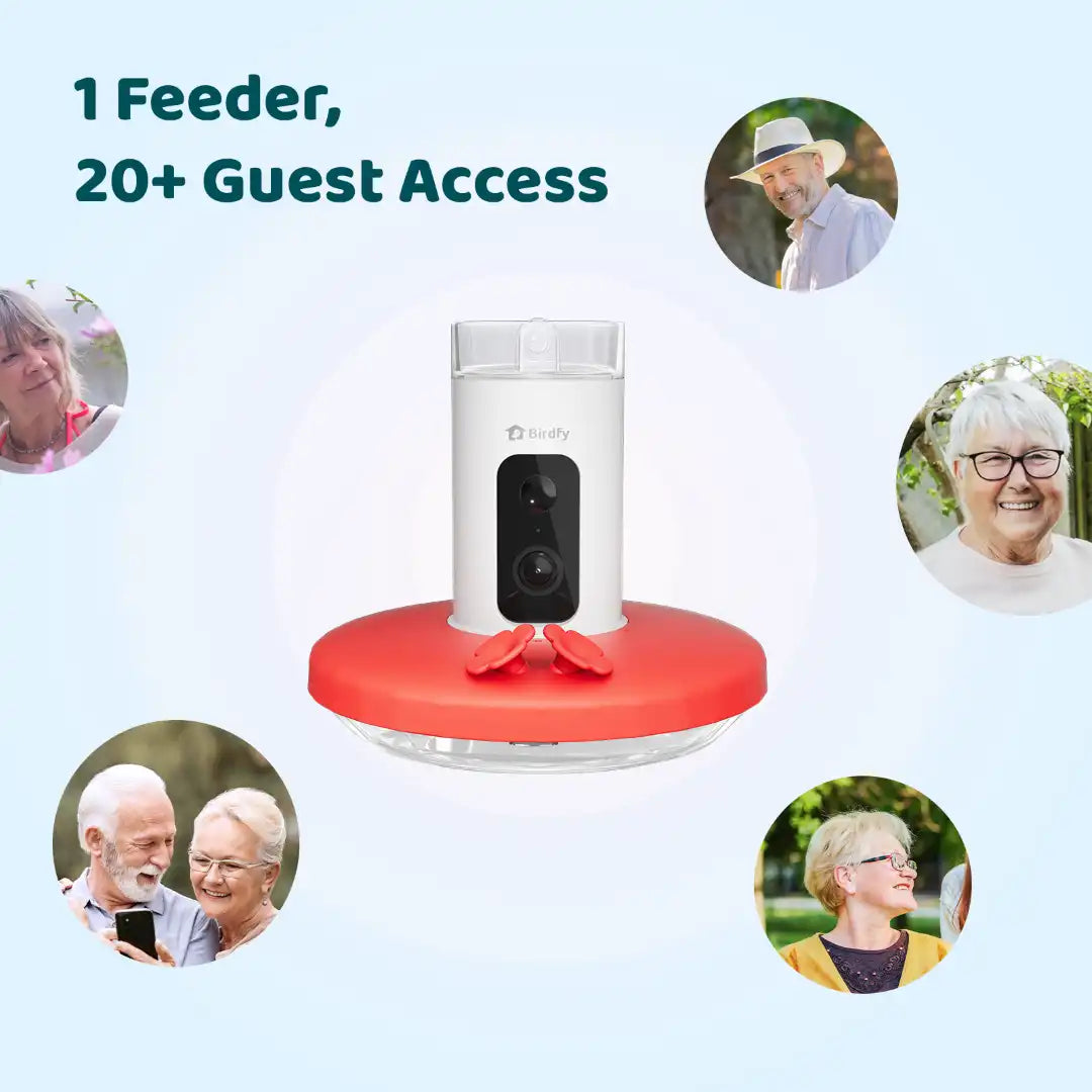 Birdfy Hum Feeder + 1 Year Plus Membership