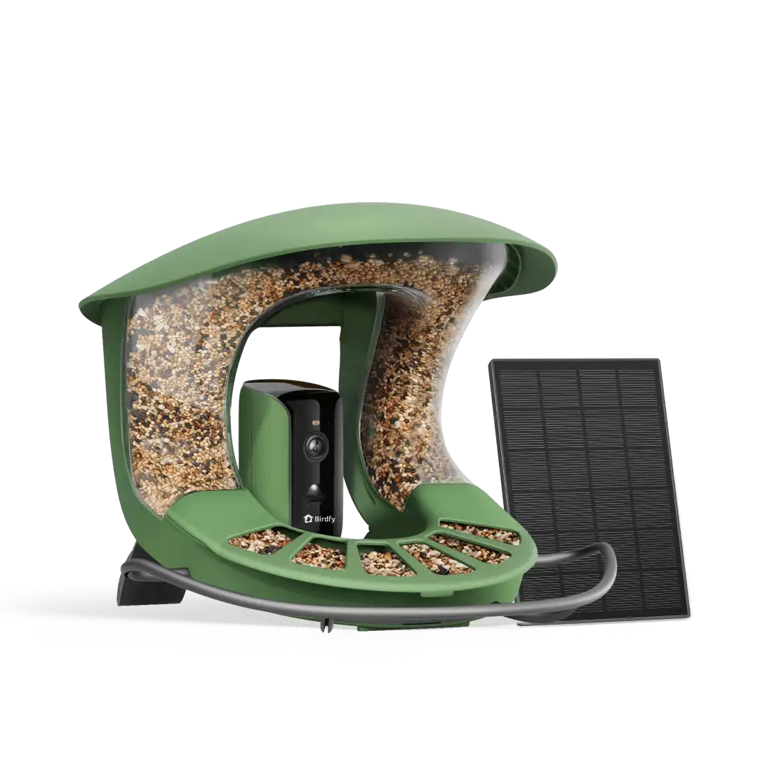 Birdfy Feeder 2 - Smart Bird Feeder