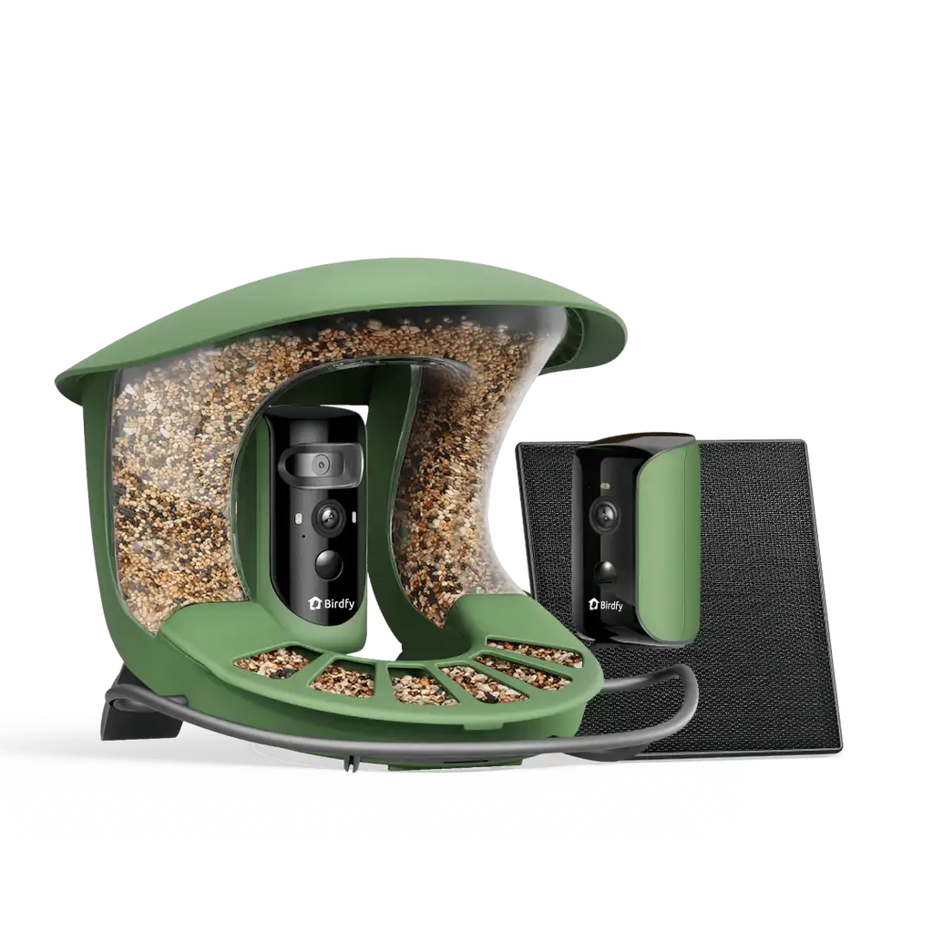 Birdfy Feeder 2 Duo - Triple-Lens Smart Bird Feeder with Cameras