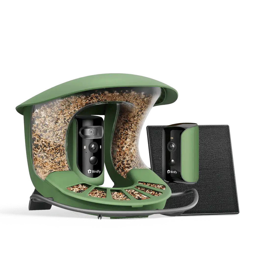 Birdfy Feeder 2 Duo - Triple-Lens Smart Bird Feeder with Cameras
