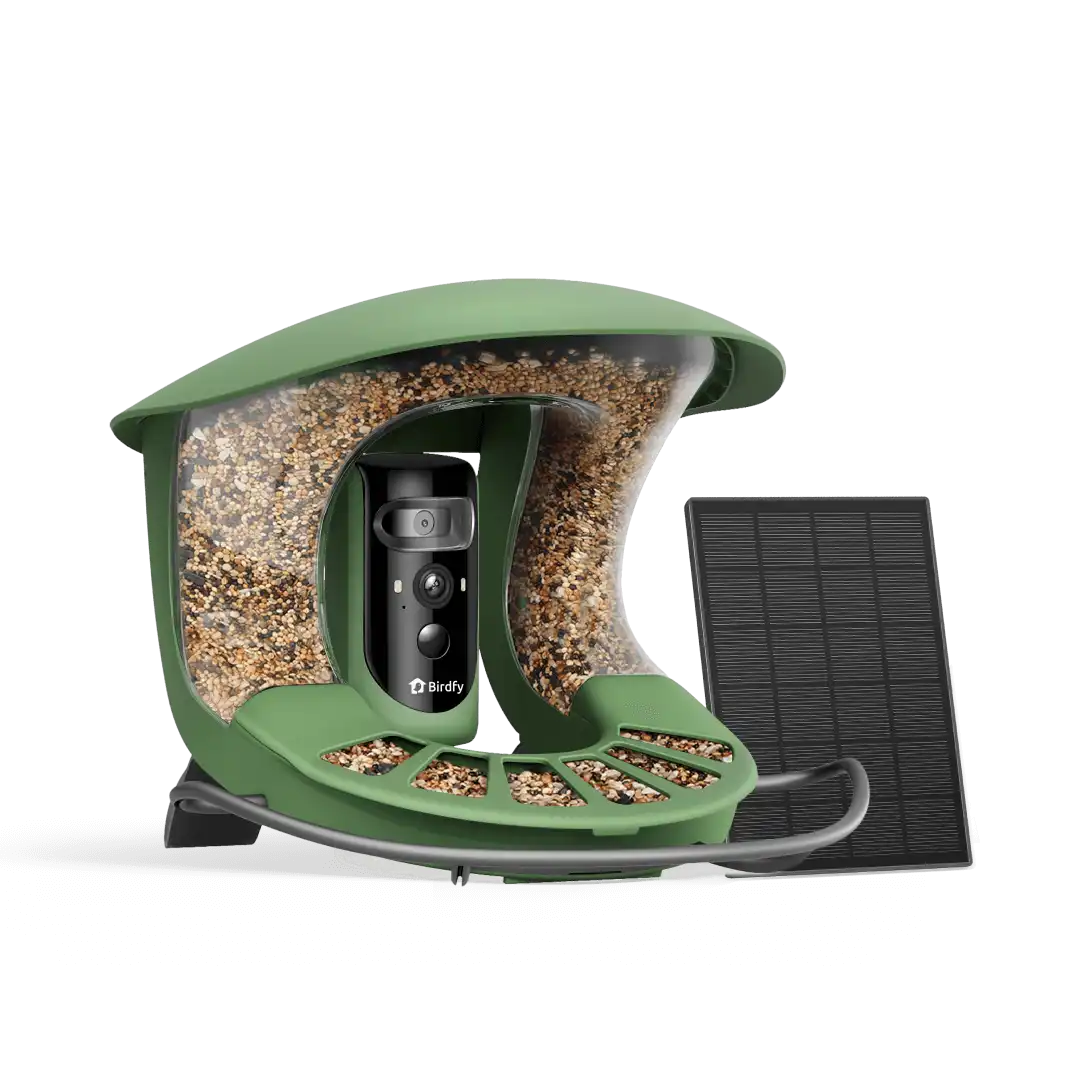 Birdfy Feeder 2 Pro - Dual-Lens Smart Bird Feeder with Camera