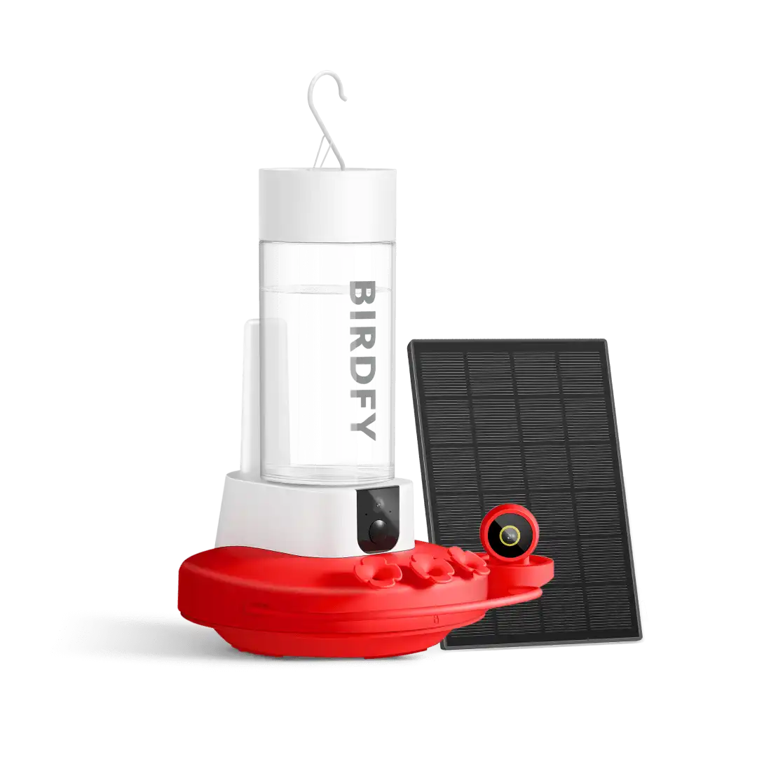Birdfy Hum Feeder Duo + 1 Year Plus Membership
