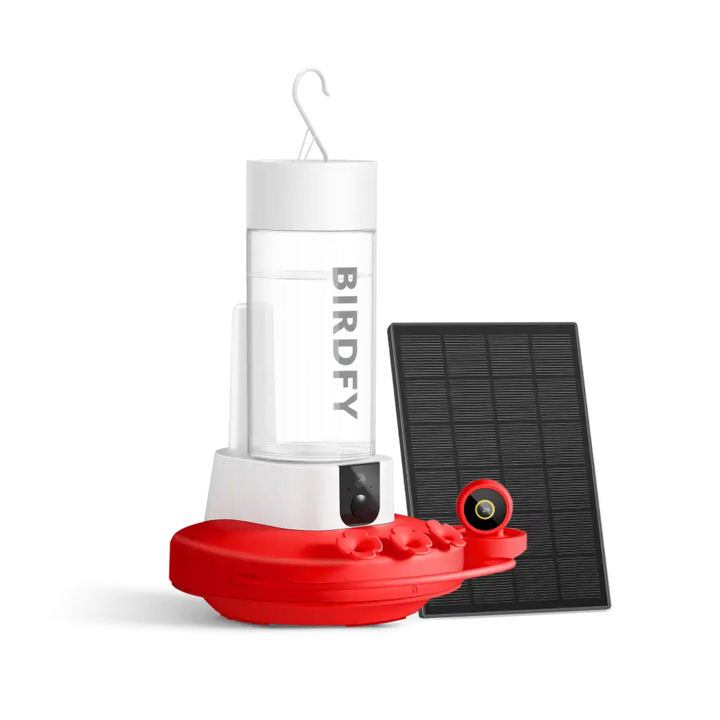 Birdfy Hum Feeder Duo - Hummingbird Feeder with Dual Camera