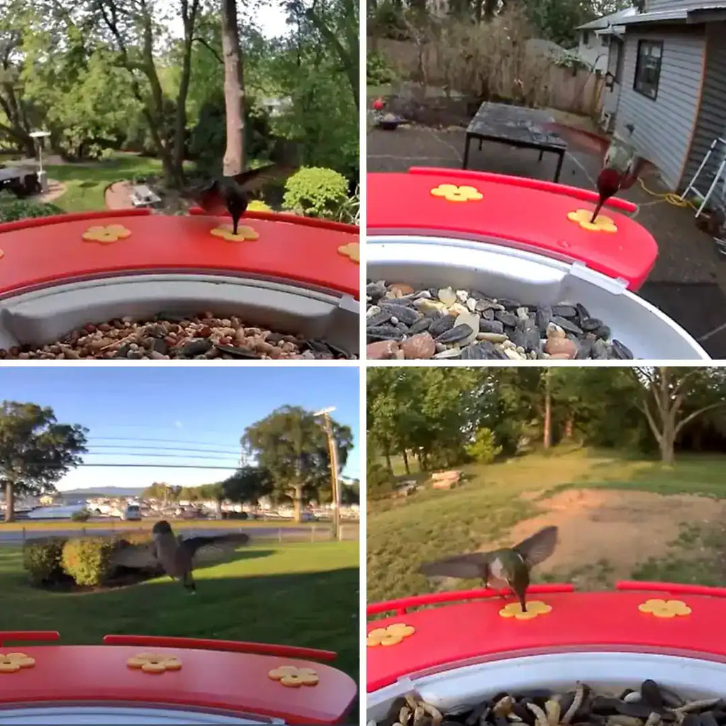 Birdfy Hummee Extension -  Hummingbird Feeder Extension
