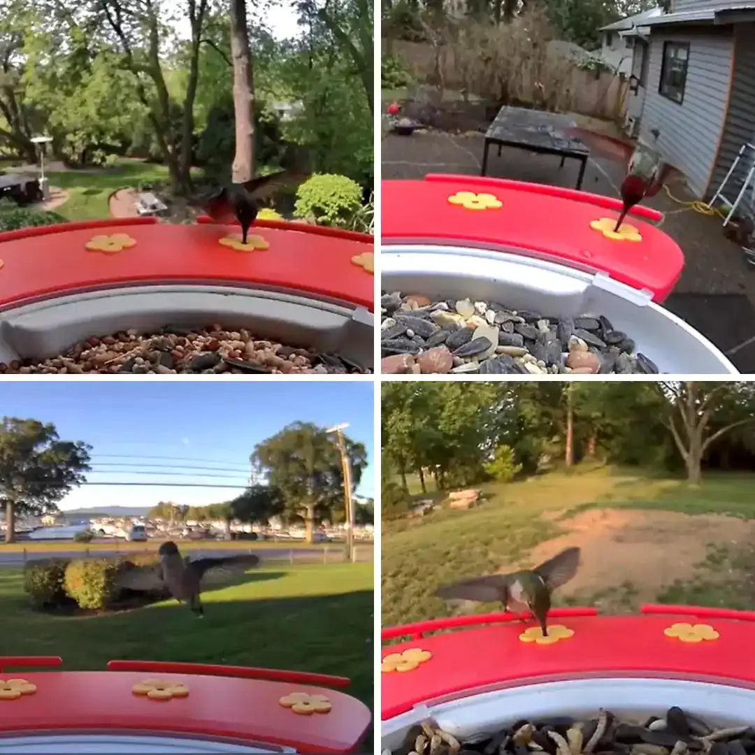Birdfy Hummee Extension -  Hummingbird Feeder Extension
