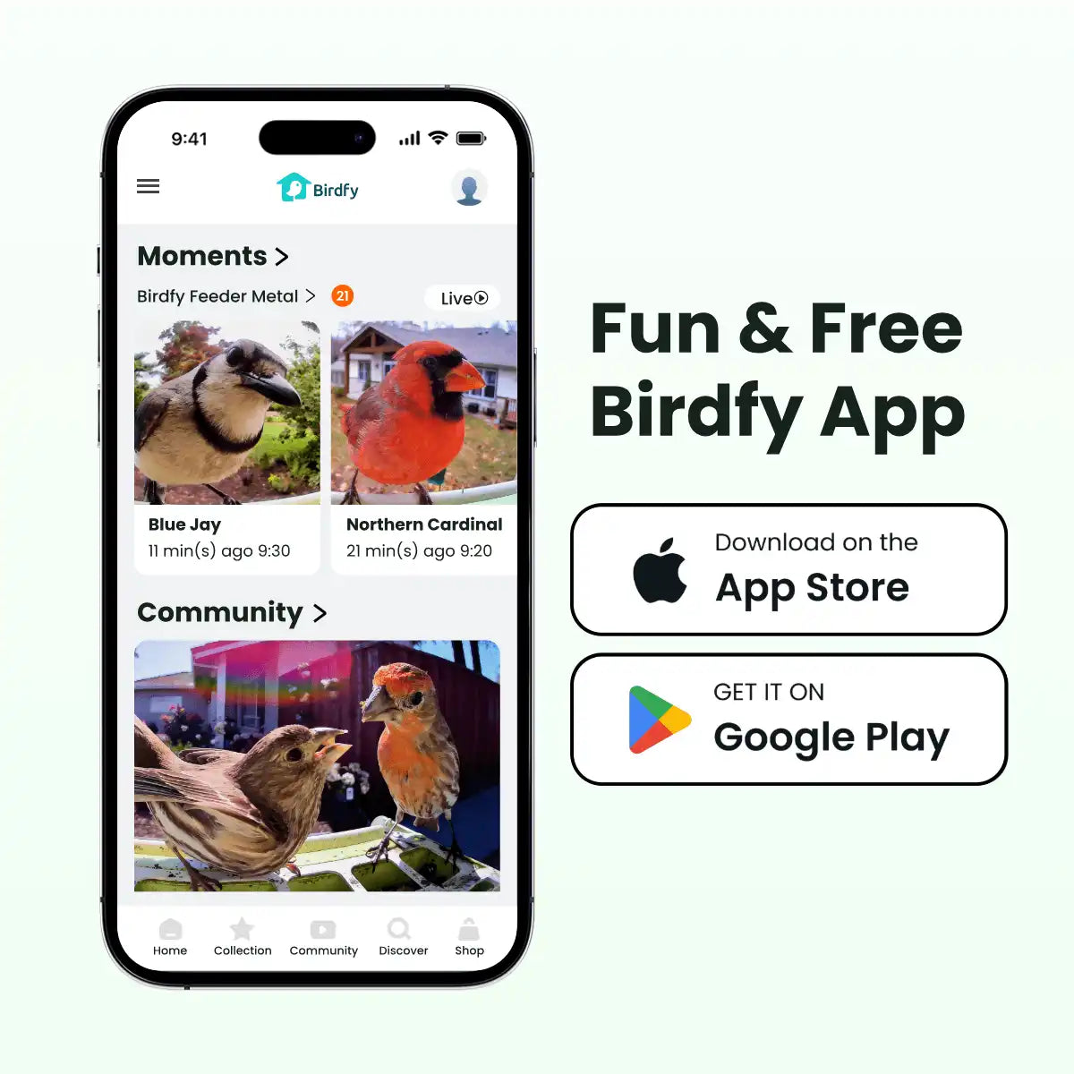 Birdfy Feeder Metal - Limited Gift Set | Smart Bird Feeder with Camera