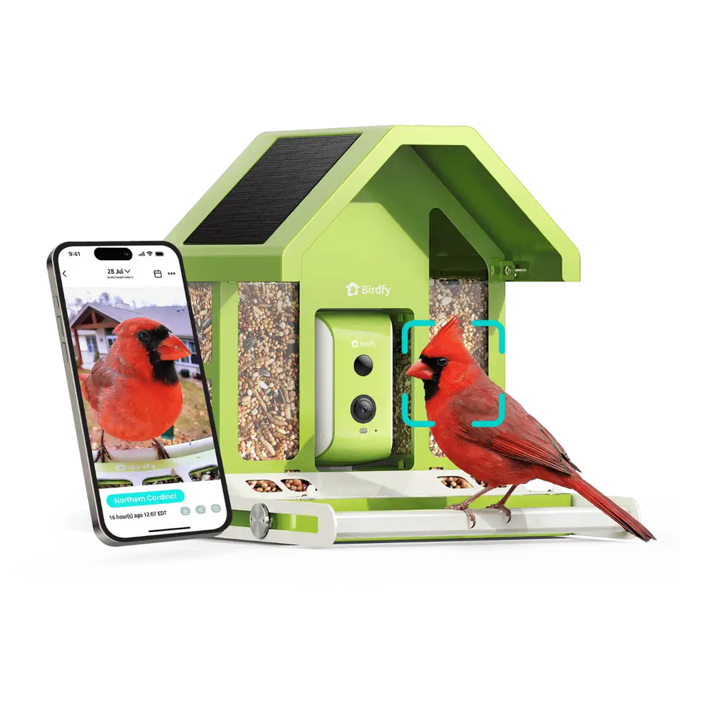 Birdfy Feeder Metal - Limited Gift Set | Smart Bird Feeder with Camera