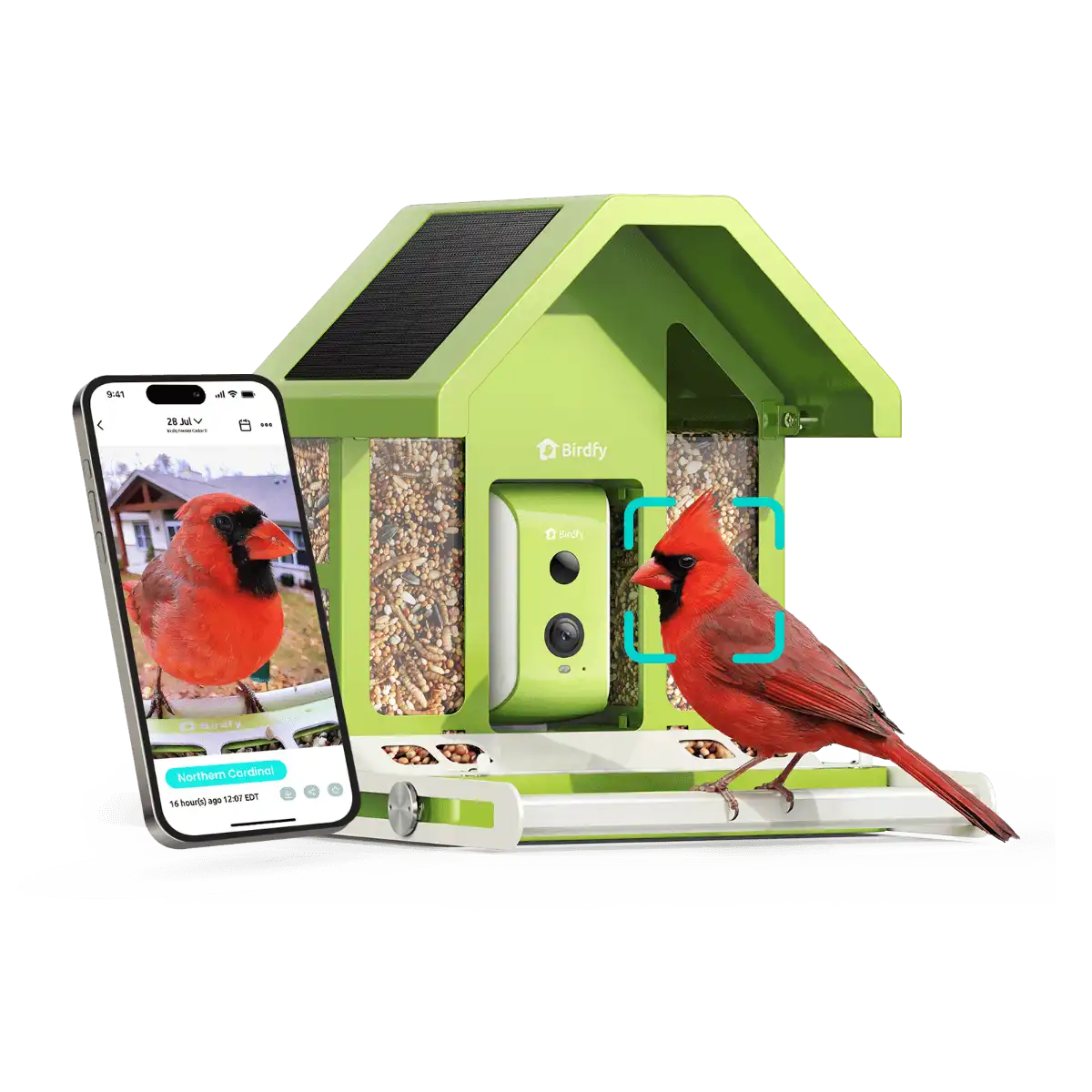 Birdfy Feeder Metal - Limited Gift Set | Smart Bird Feeder with Camera