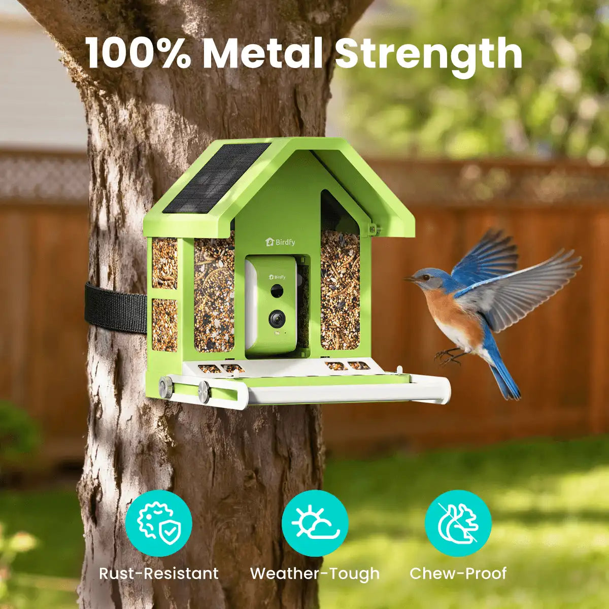 Birdfy Feeder Metal - Limited Gift Set | Smart Bird Feeder with Camera