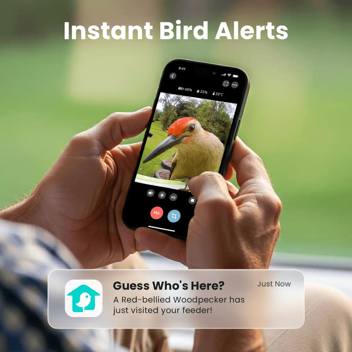 Birdfy Feeder Metal - Limited Gift Set | Smart Bird Feeder with Camera