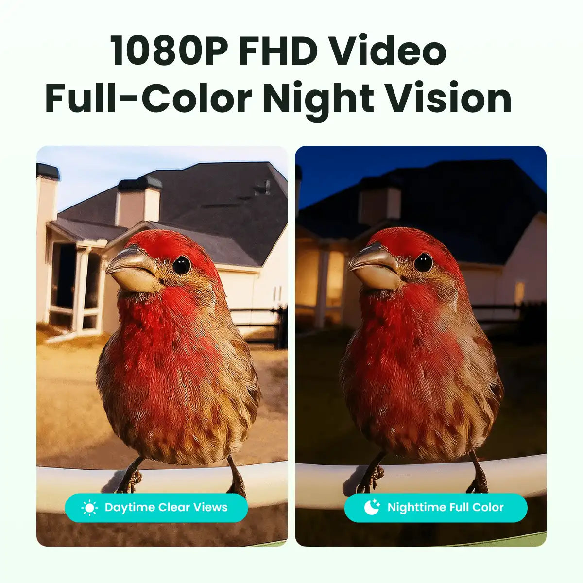 Birdfy Feeder Metal - Smart Metal Feeder with Camera