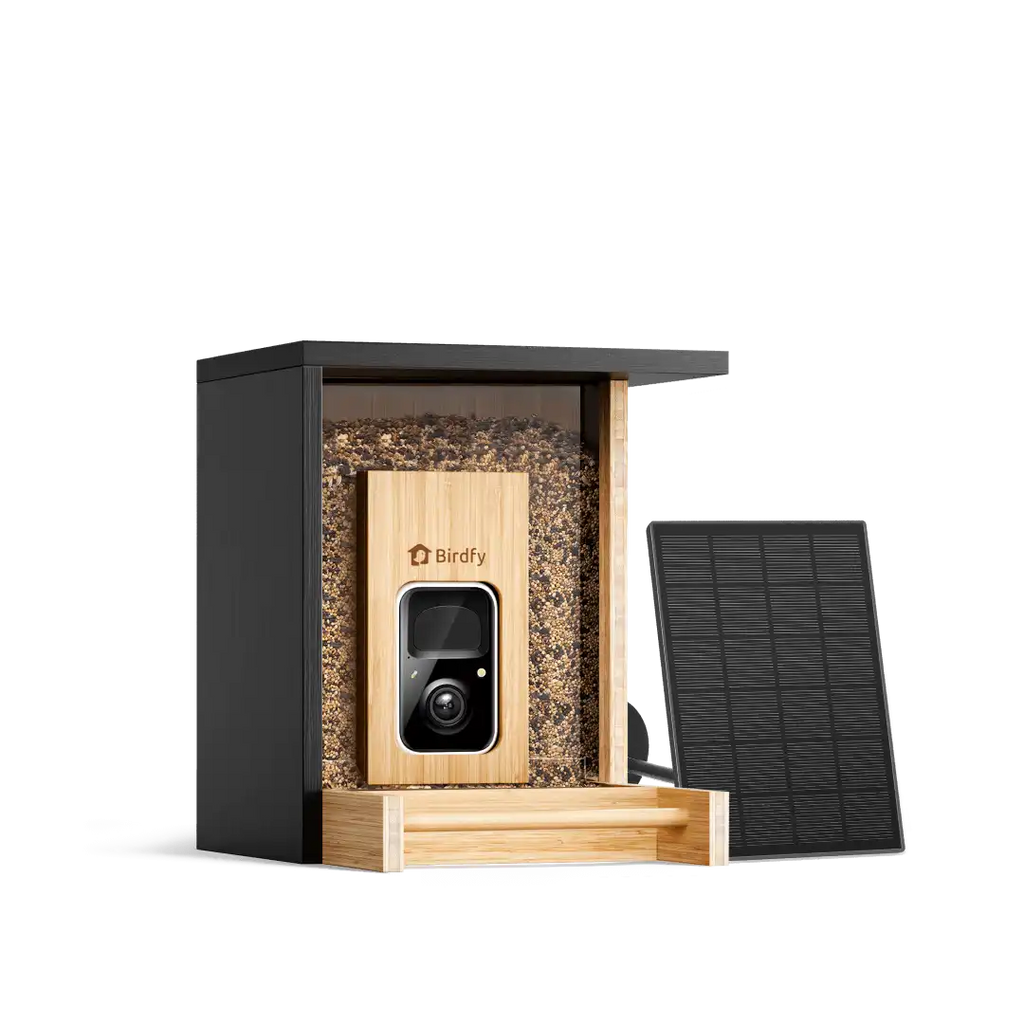 Birdfy Feeder Bamboo Mini + 1 Year Plus Membership