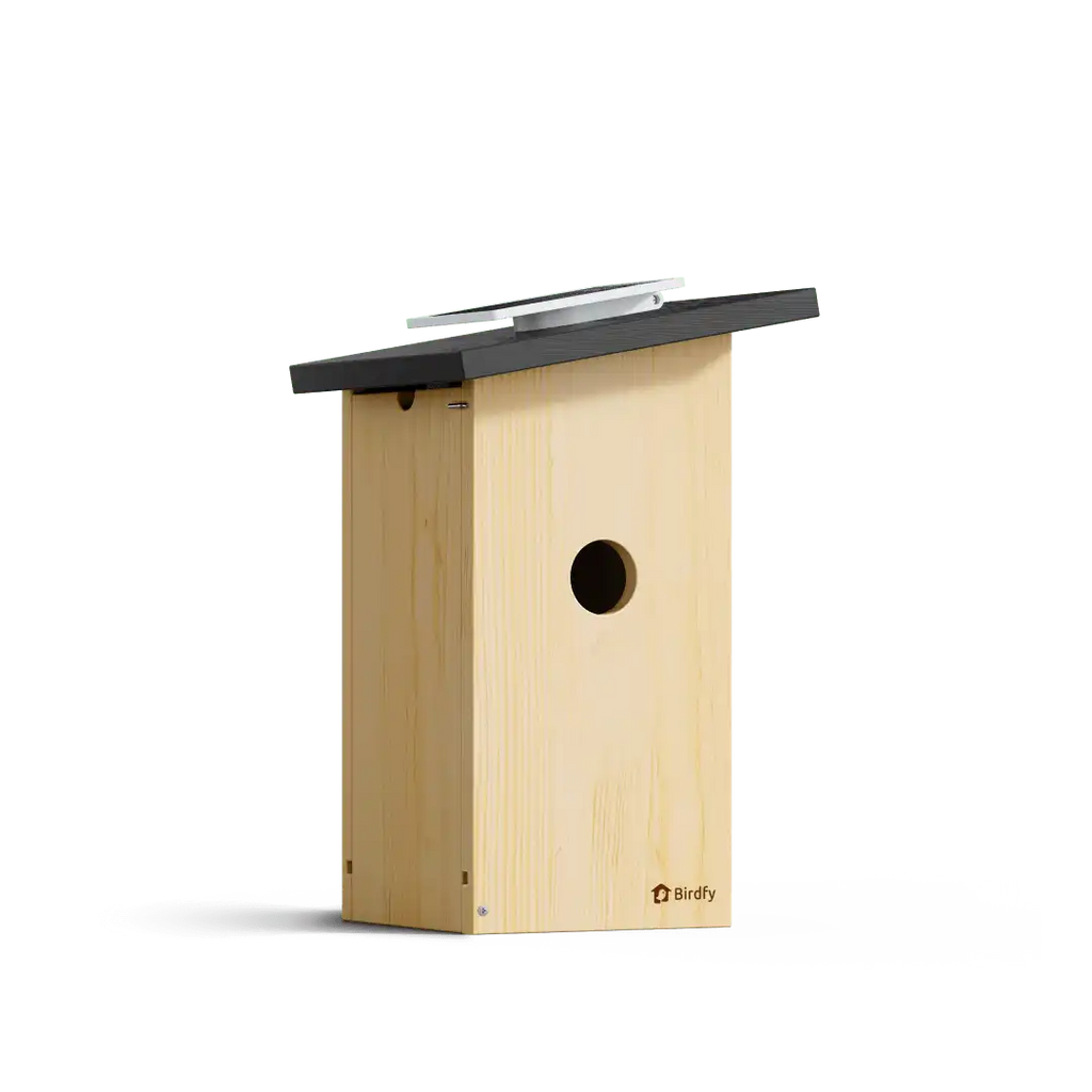 Birdfy Nest Ebony - Wooden Smart Birdhouse